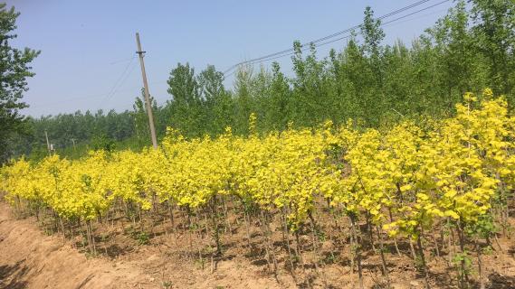 明光市市委书记被名人堂企业文化深深感动 | 深入沟通合作空间广阔